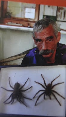 Theraphosa apophysis